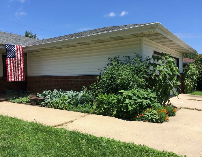 I Used To Sit In The Desert Of Afghanistan Eating MRE’s Daydreaming About Having A Home With A Garden With Fresh Food. Years Later, Dream Achieved