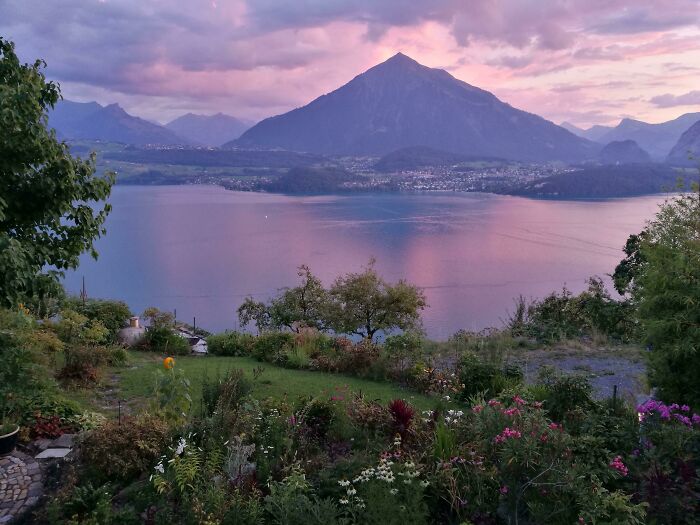 My Boyfriend's Mother's Garden 