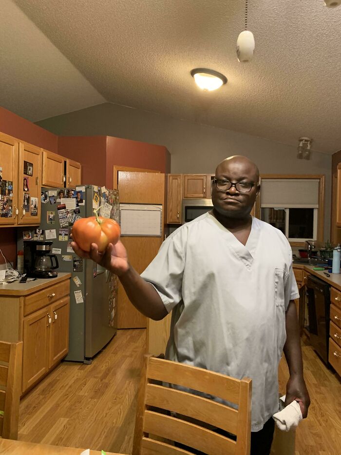 My Dad Was Extremely Proud Of His Monster Tomatoes This Season