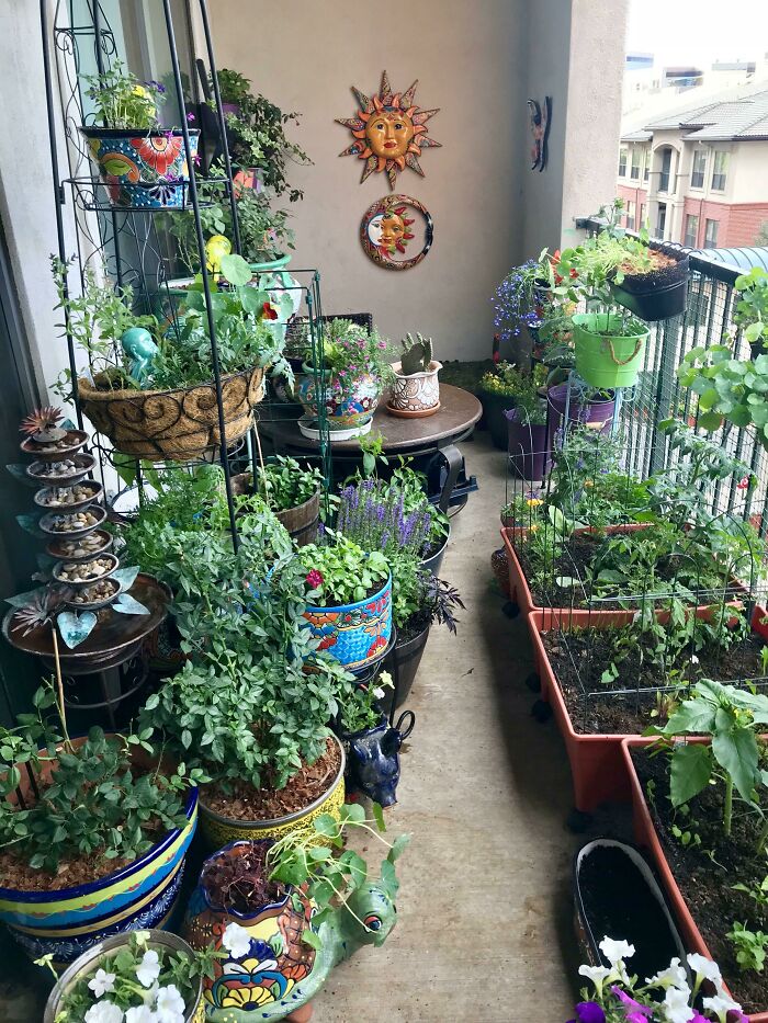 Welcome To My Secret Garden