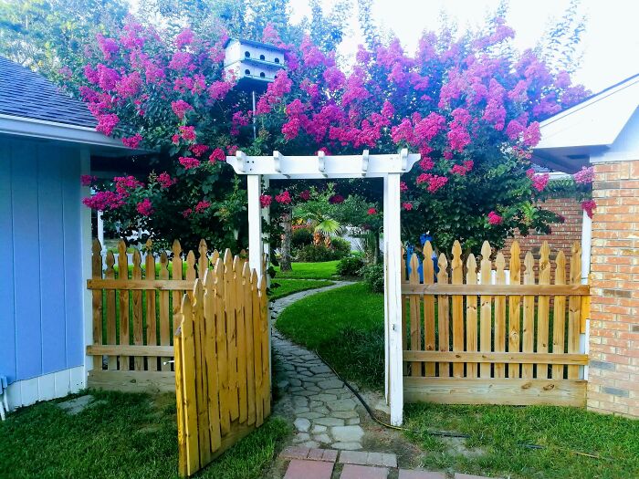 View From The Backyard