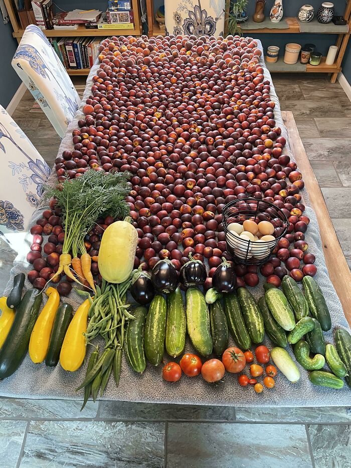 Greetings From The Navajo Nation. Here’s Today’s Haul