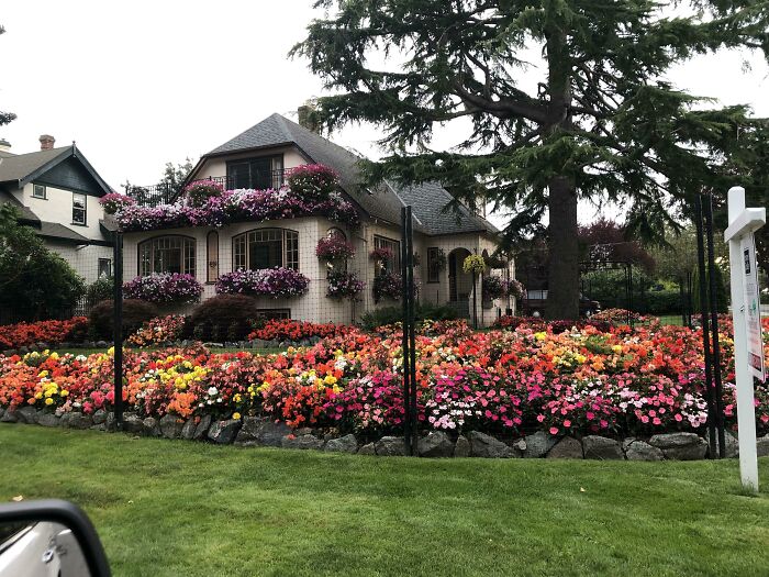 My Mouth Was Agape When I Drove Past. This Picture Doesn’t Do It Justice