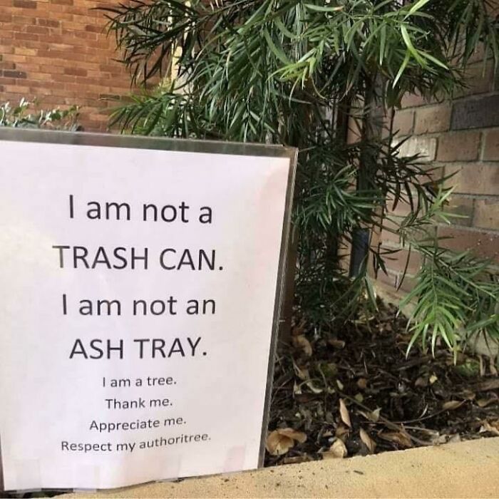 Thank Me. Appreciate Me. Respect My Authoritree!