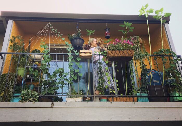 Who Says You Can't Have A Garden If You Live In An Apartment?