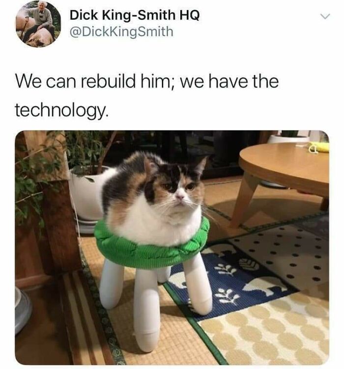 Robocat, Cutting Edge Technology Paw Enforcement