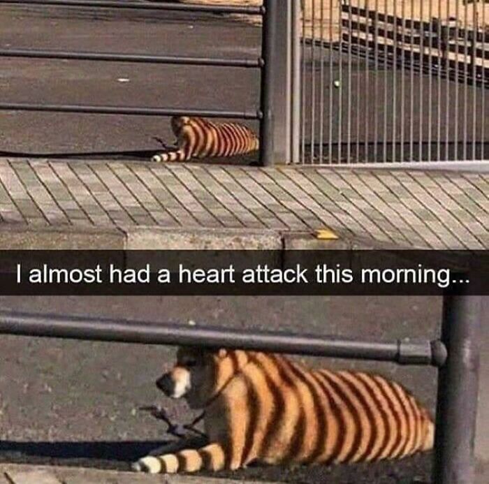 Tiggo, Master Of Deception