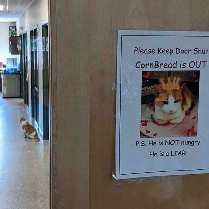 Cornbread, The Lying