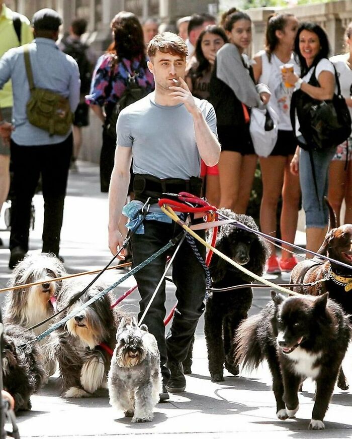 Daniel Radcliffe, The Floofmaster