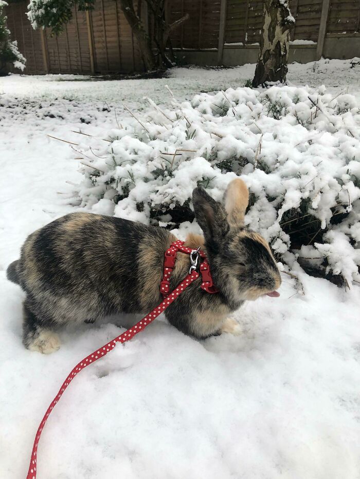 Her Little Tongue Omg