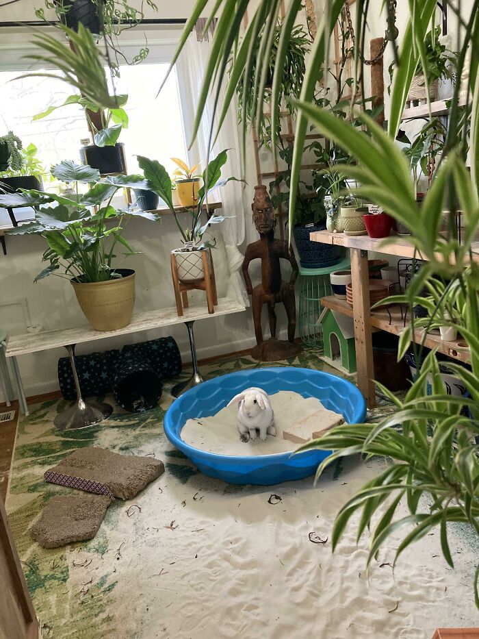 My Husband Thought A Sandbox Was A Bad Idea, But I Was Insistent. Dare I Say He Was Right?