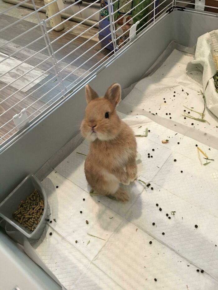 His Cheeks Are Sooooo Chubby