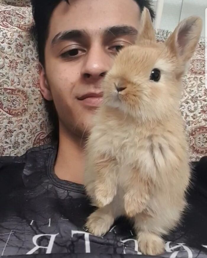 A Wild Hazel Has Appeared