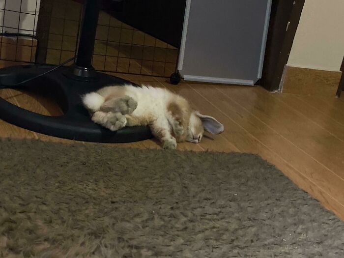 What Happened? Hahaha Are You Okay?