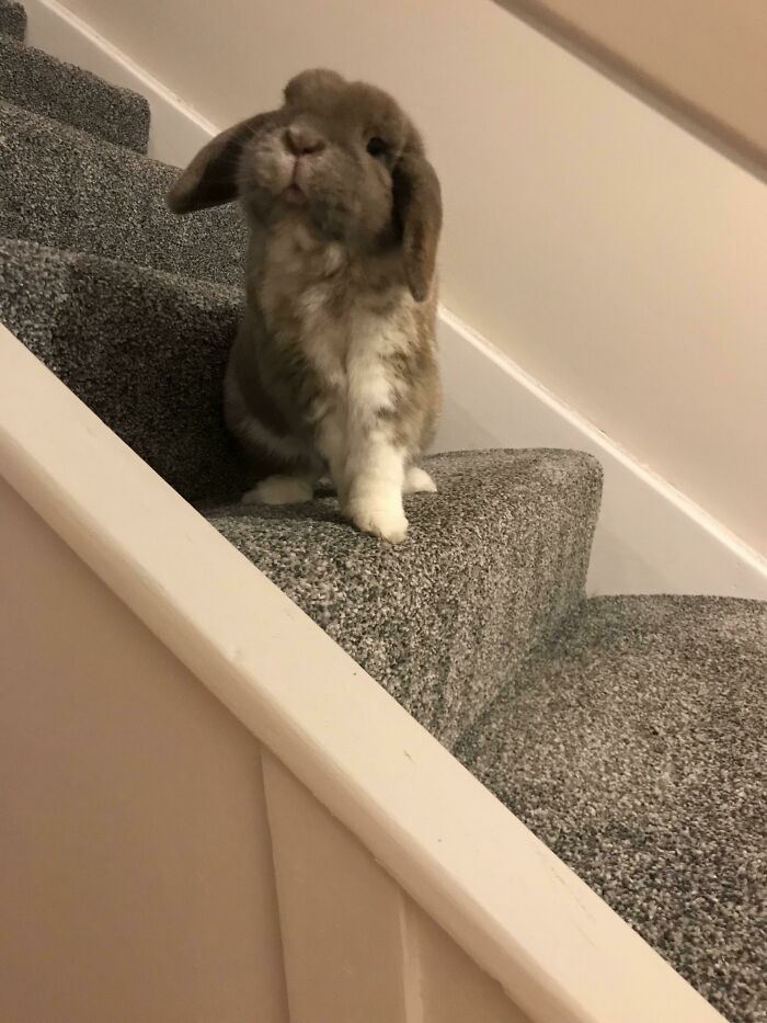 My Precious Baby Timmy