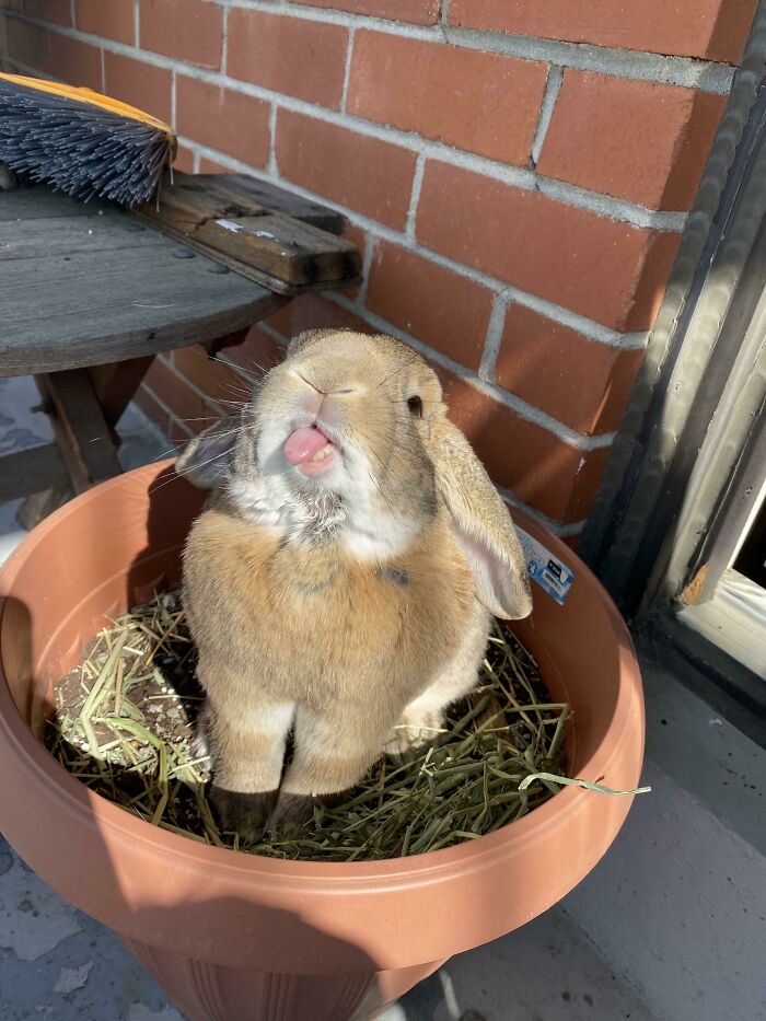 Our Flowers Have A Lot Of Attitude This Spring