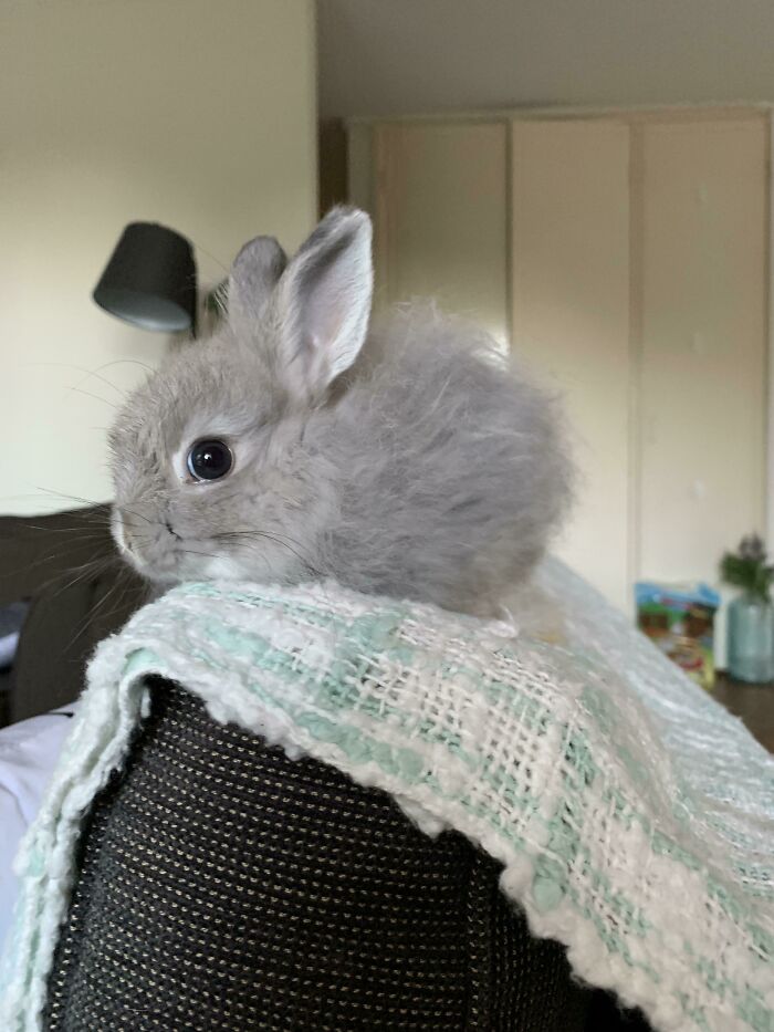 Meet May, Short For Mayonnaise