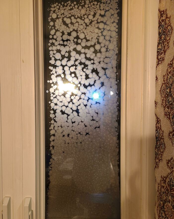 There Is A Colony Of...something Growing In Between The Panes Of Glass Of My Window