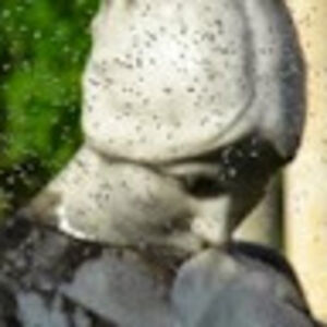 sandidloveismusic avatar