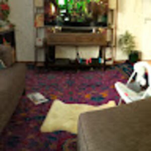 angelamckernan avatar