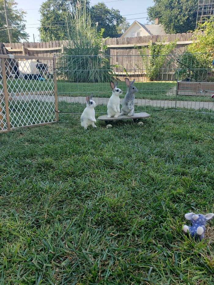 Caught A Perfect Pic