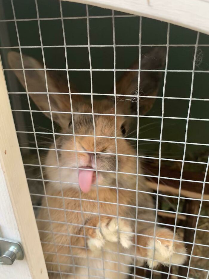 This Girl Has So Much Attitude