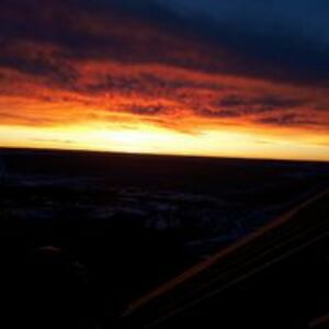 carl_plamondon avatar