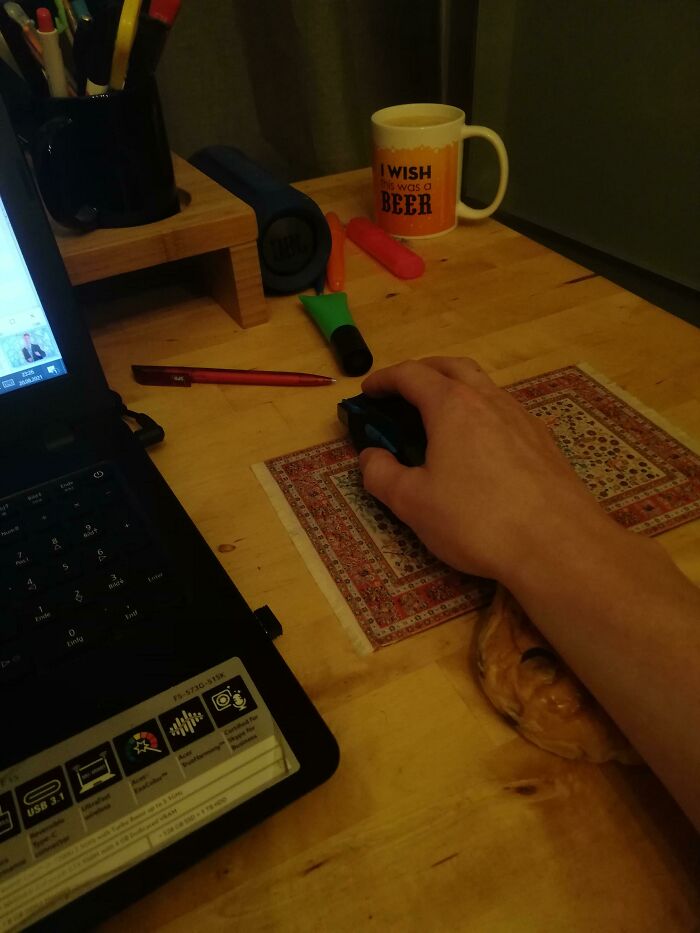 I Am Using A Bun To Rest My Wrist On Because I Am Too Lazy To Buy A Better Mouse Pad