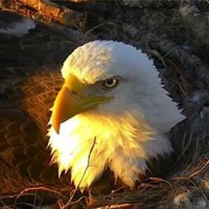 ella_boo_bella avatar