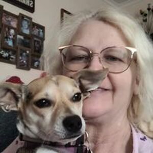 cindyhill63 avatar