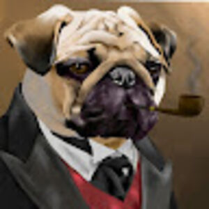 mrgamis avatar