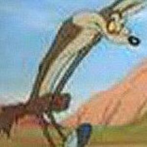 mailtomendoza avatar