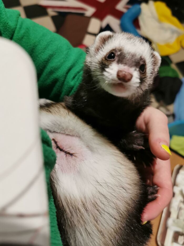 Hello. I Beat Cancer Today. I'm So Happy