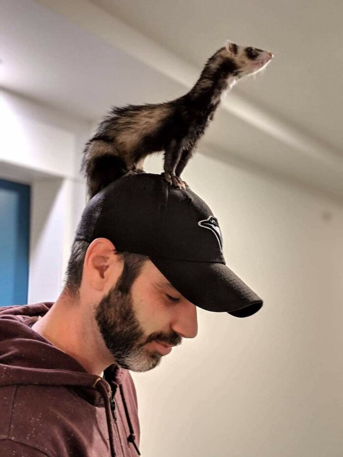 My Beautiful Little Girl Molly