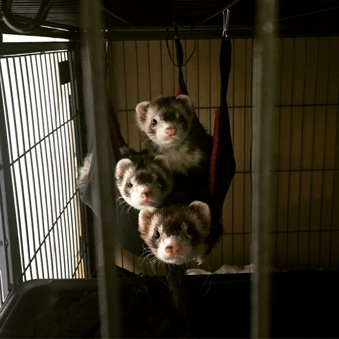 I Take A Million Photos My Husband Takes One