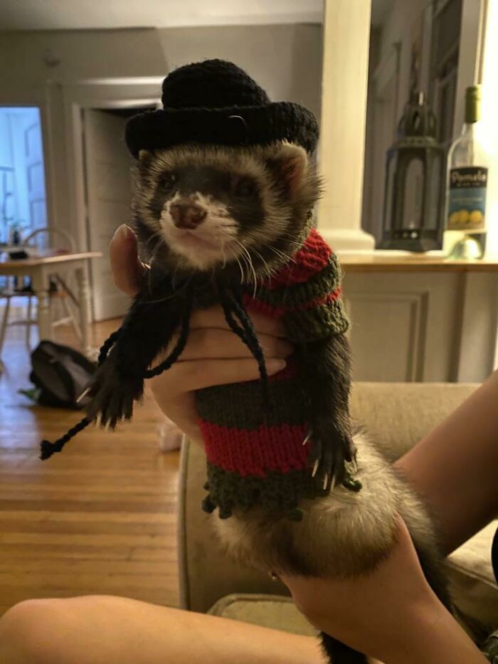 Nightmare On Cute Street