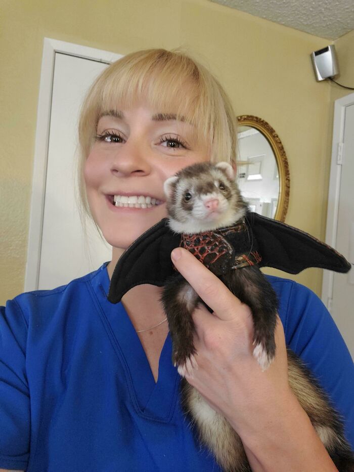 Dragon Costume For Fibs