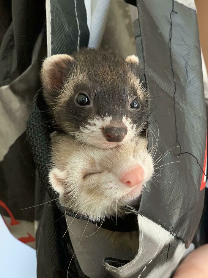 What Do You Mean I’m Squishing Her?