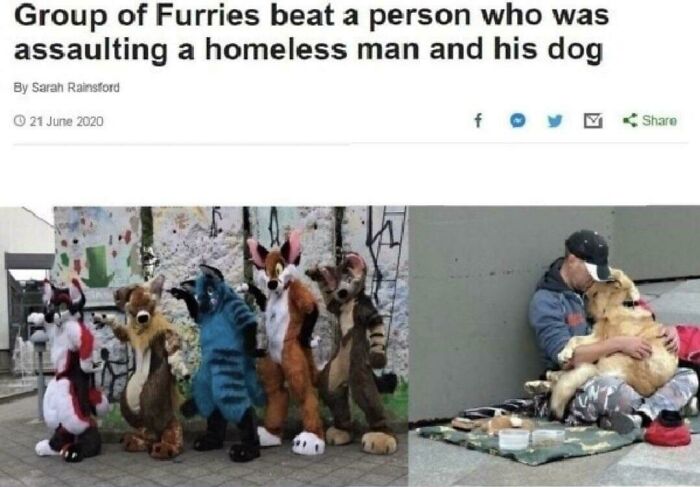 Group of furries in costumes standing outdoors next to a man sitting with a dog showing chaotic good actions.