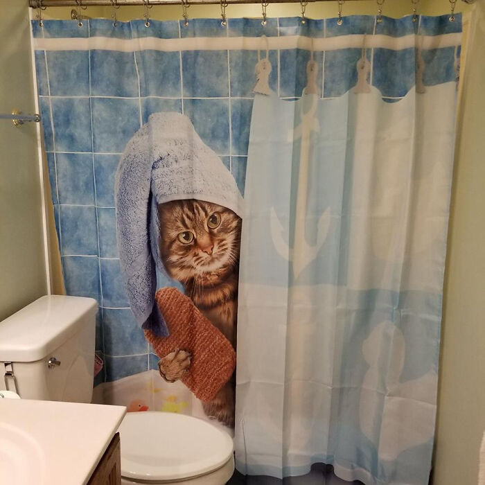 My Wife Is Gonna Love Our New Shower Curtain