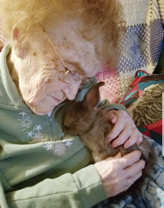 Senior woman lovingly holding a cute bunny close to her chest on a quilted sofa.