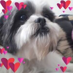 marybellamyscott avatar