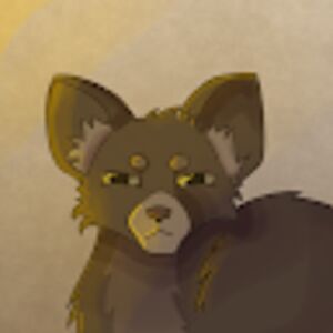 scotiaosullivan avatar