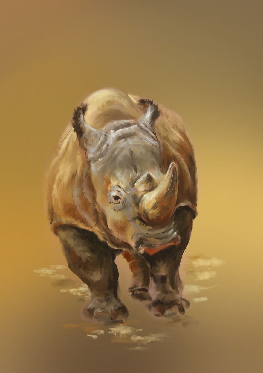 I Draw Animals
