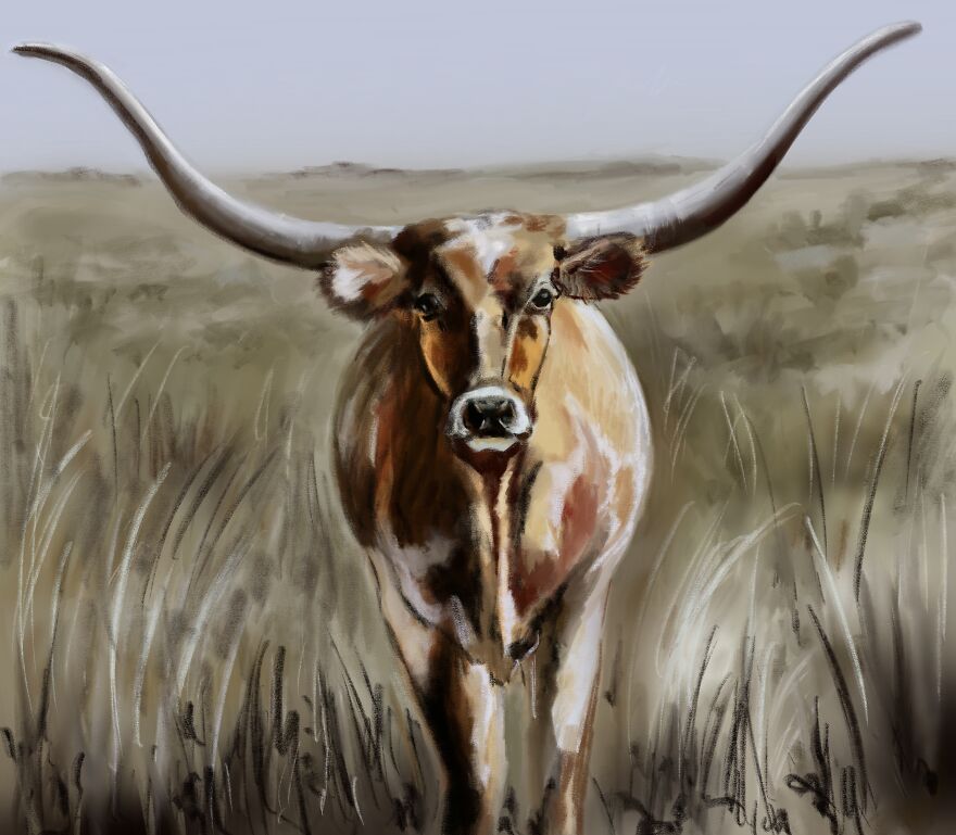I Draw Animals