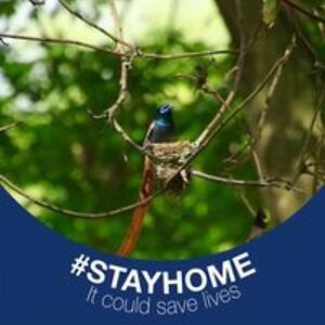 www_djjosejackson1957 avatar