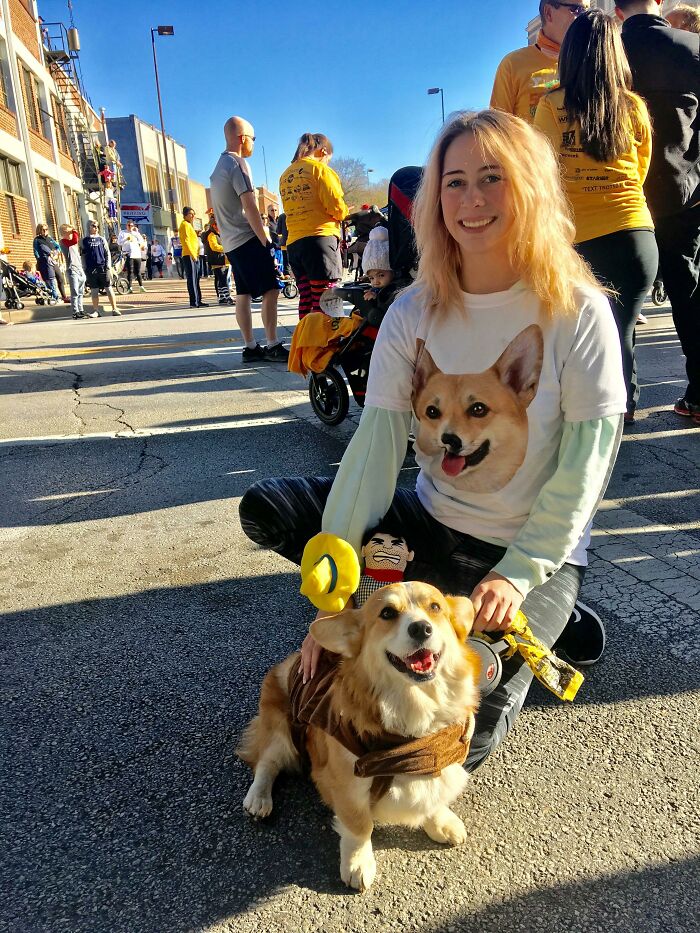 My Corgi, Kadet, Ran His First Thanksgiving 5k Yesterday. So Proud Of This Little Guy