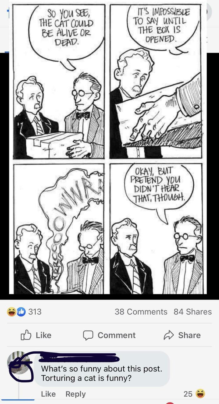 Defending Schrödinger’s Cat