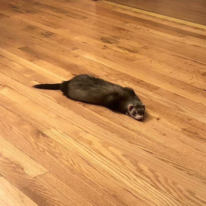 The Classic, ‘Mom Put Baby Locks On All The Kitchen Cabinets And Now I Can’t Play In The Pots And Pans’ Tantrum