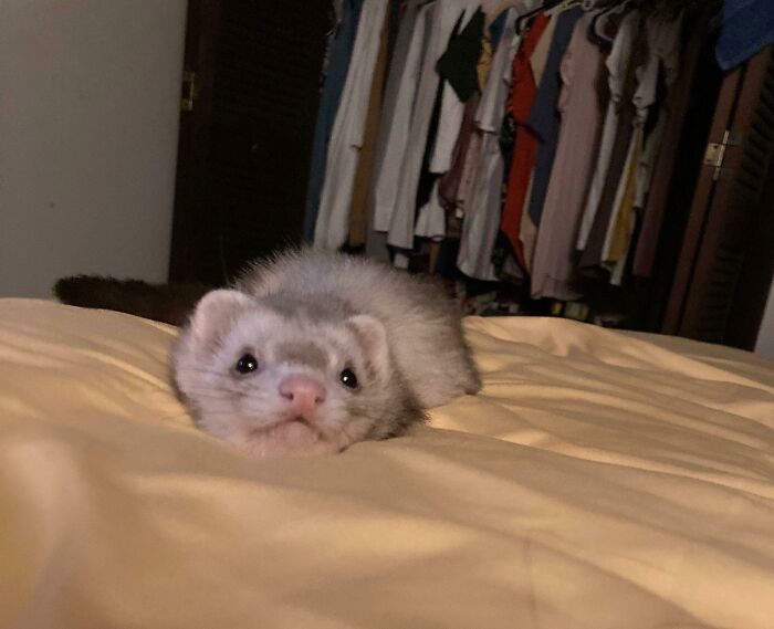 I Can't Believe She's Real, She's So Cute